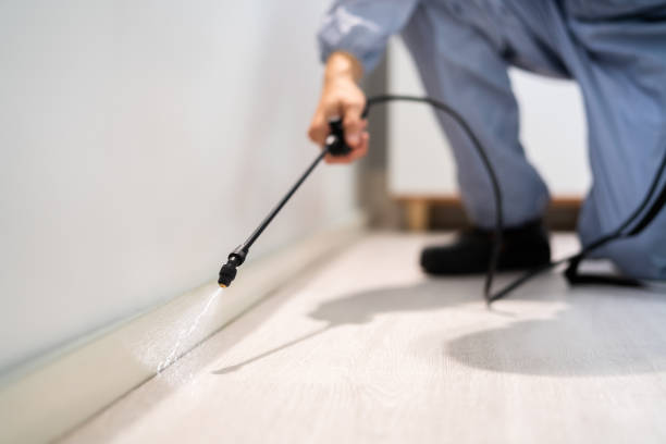 Licensed Pest Control service in St. Joseph, MI - Show Me Pest Control