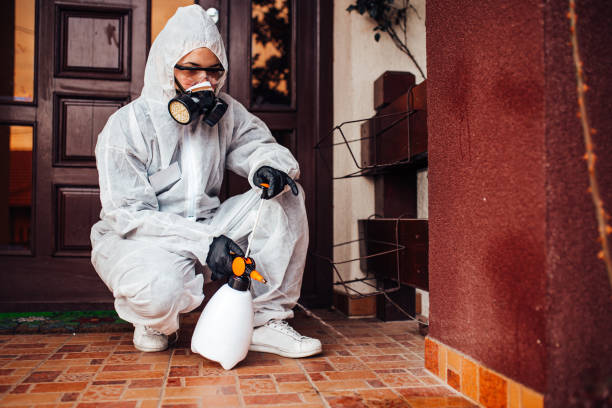 Attic and Crawl Space Rodent Treatment in St. Joseph
